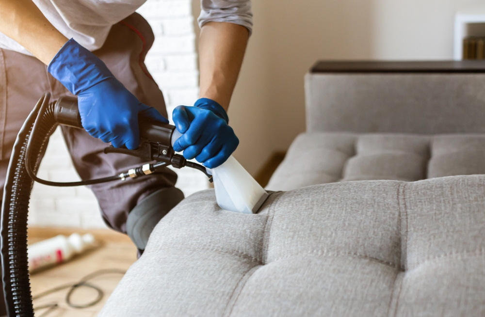 Upholstery Cleaning