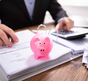 Tax Audit Representation